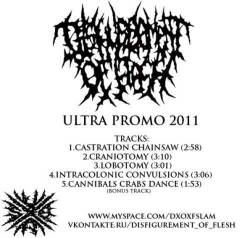 Disfigurement Of Flesh : Ultra Promo 2011